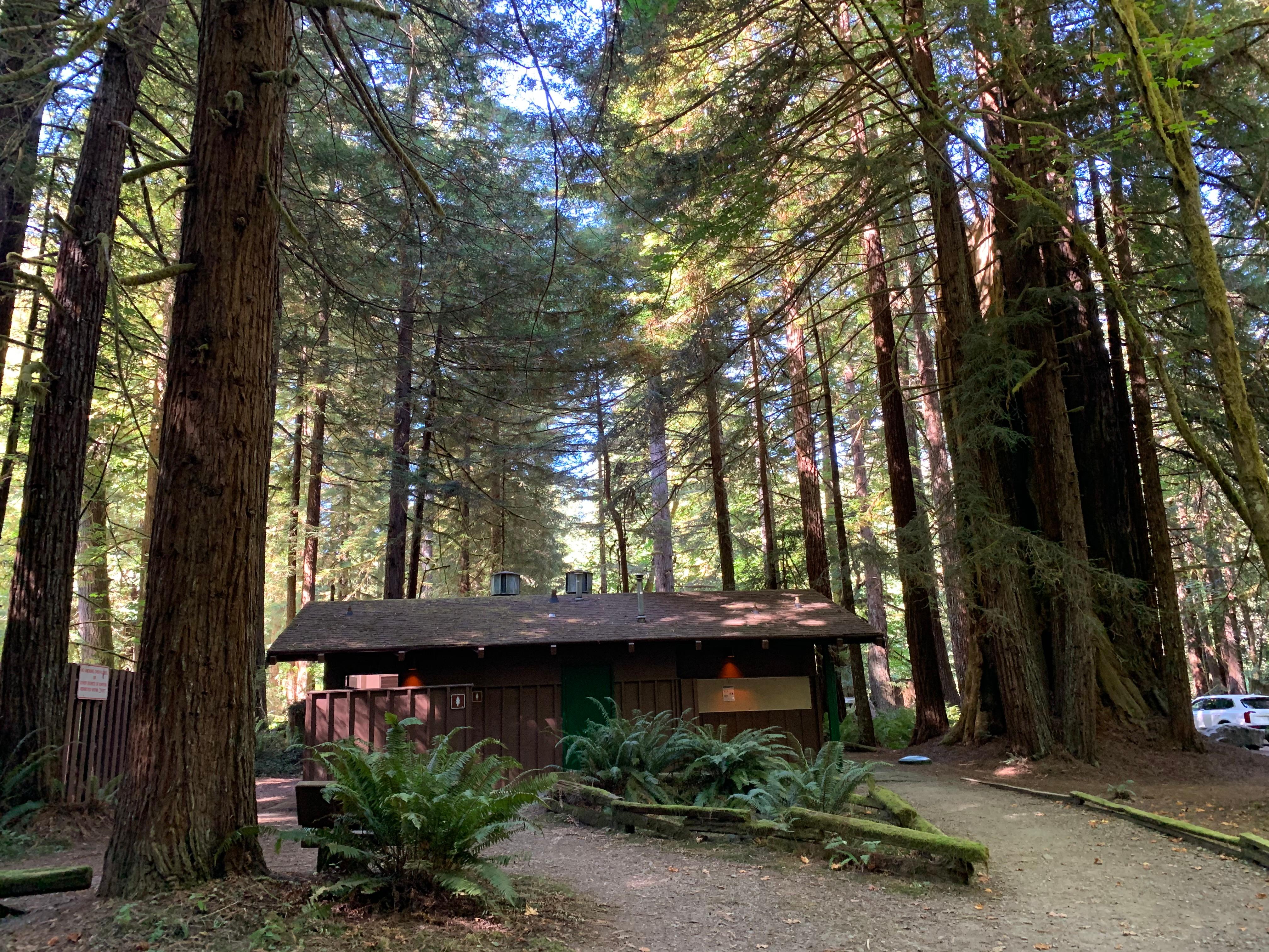 Mill Creek Campground - Del Norte Coast Redwoods State Park