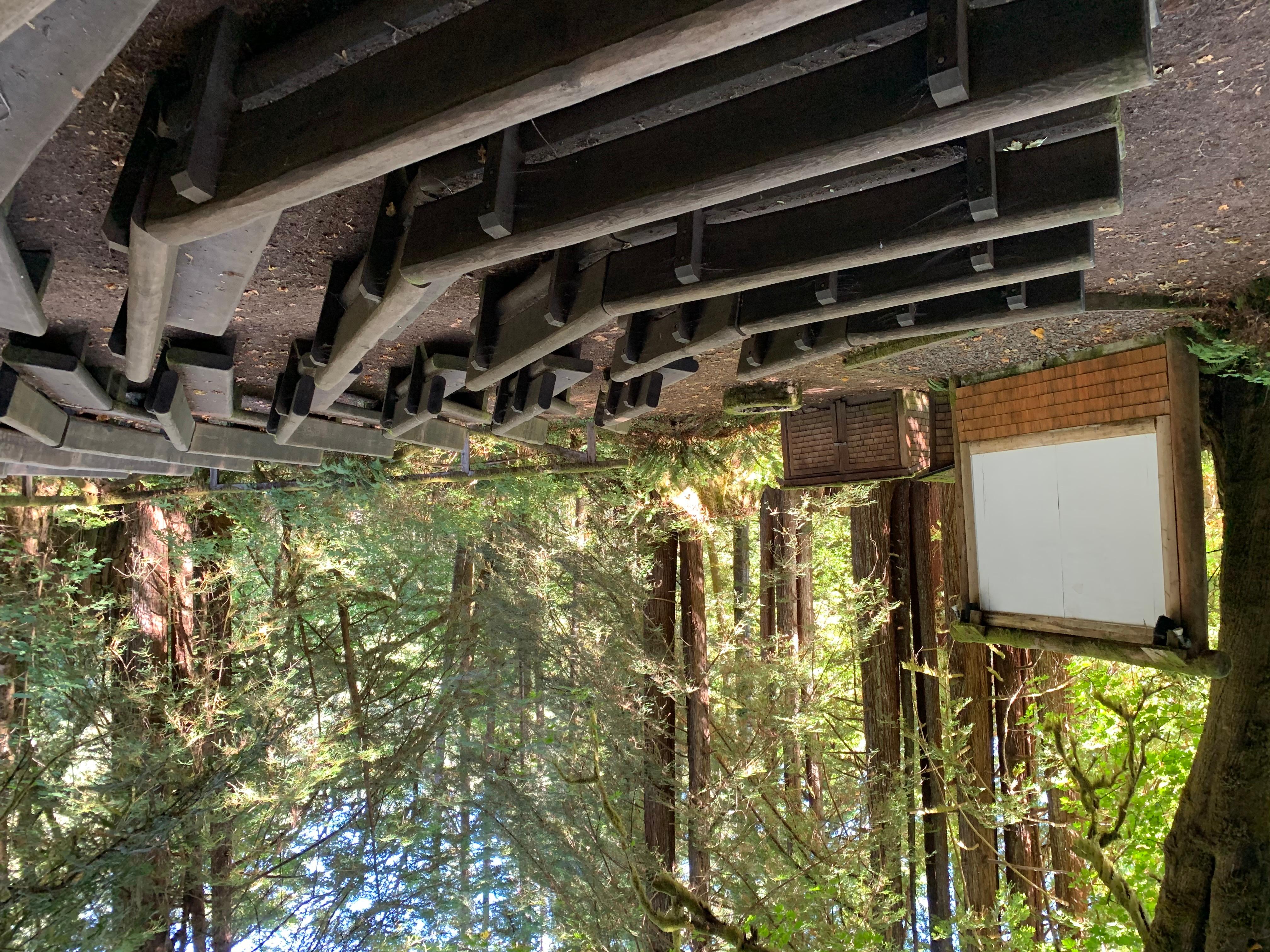 Mill Creek Campground