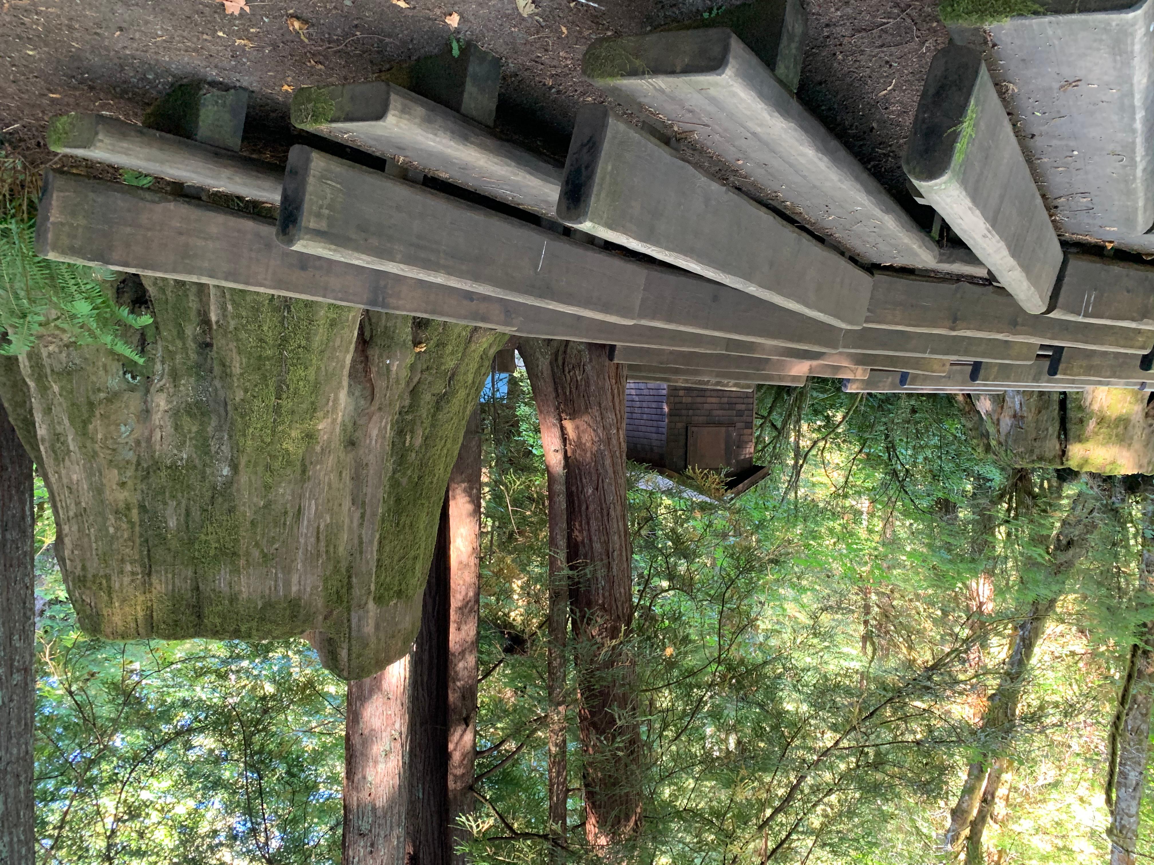 Mill Creek Campground - Del Norte Coast Redwoods State Park