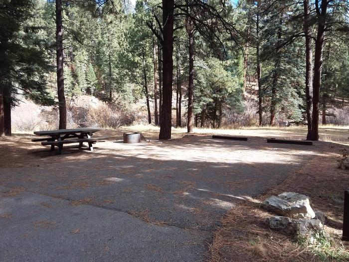 Site 2 is shaded by pines and provides a picnic table and fire pit.Image of campsite 2.