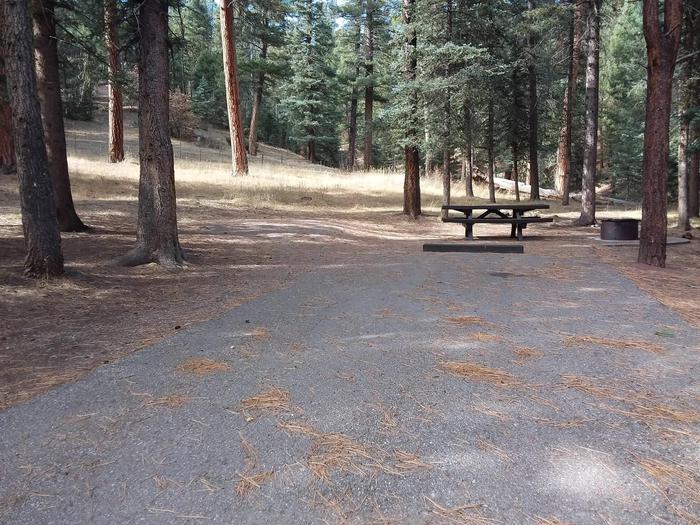 Campsite 5 has a picnic table and fire pit with spruce and pines surrounding it.Campsite 5 with a clearing and large pines.
