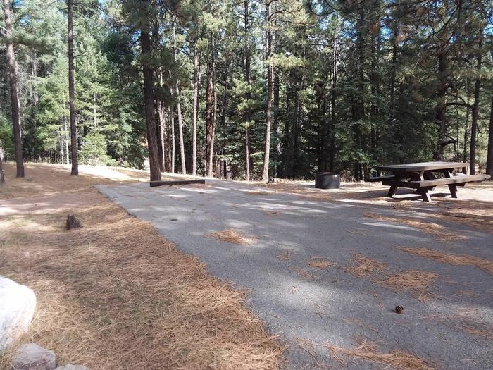 Campsite nine provides shade, a fire pit, and a  picnic table.Campsite 9 surrounded by pines.