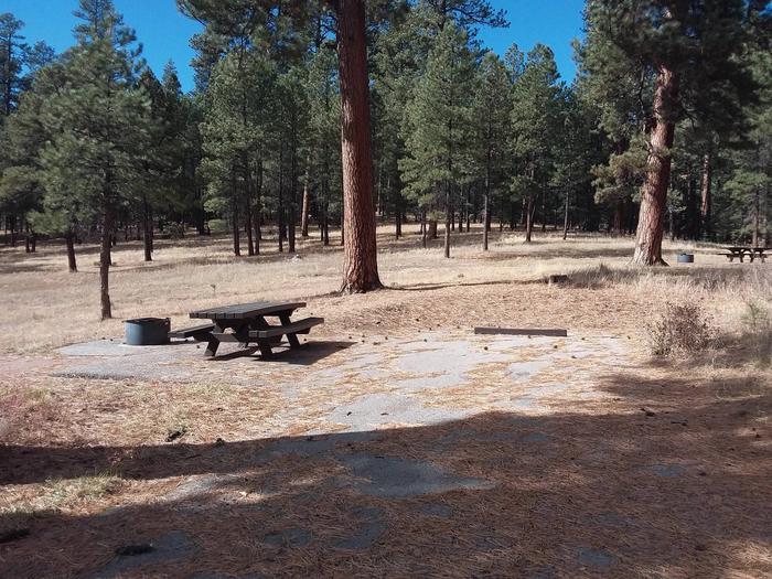 Campsite 10 has clear blue skies with a picnic table, fire pit, and sunny meadow.Site 10