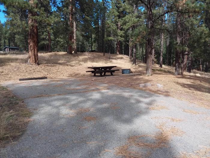 Campsite 14 has majestic pines shading over the picnic table and fire pit.Site 14 