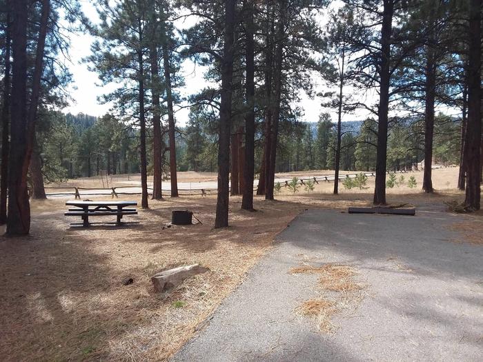 Campsite 15 has views of the forest along with a picnic table and fire pit.Site 15 has plentiful shade.