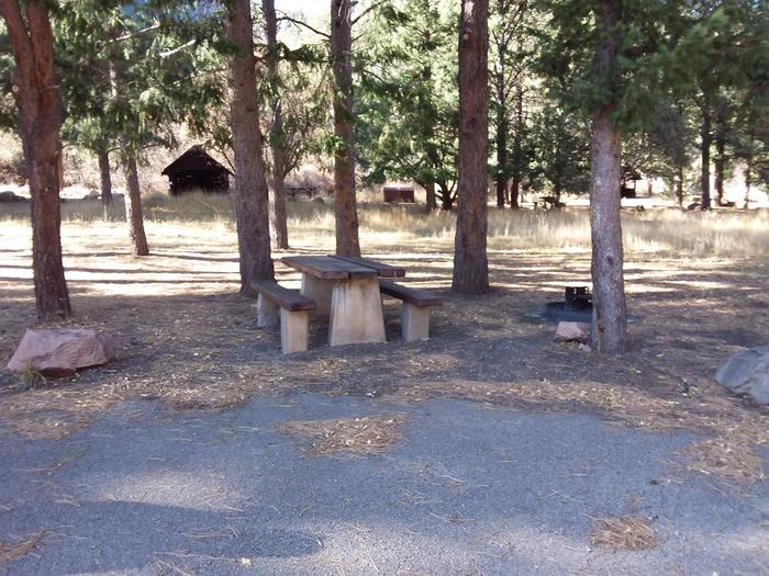 Site 9 with a fire ring, a picnic table, and parking.