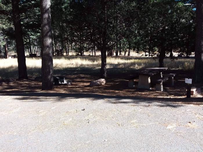 Site 14 with a picnic table, campfire ring, and parking.