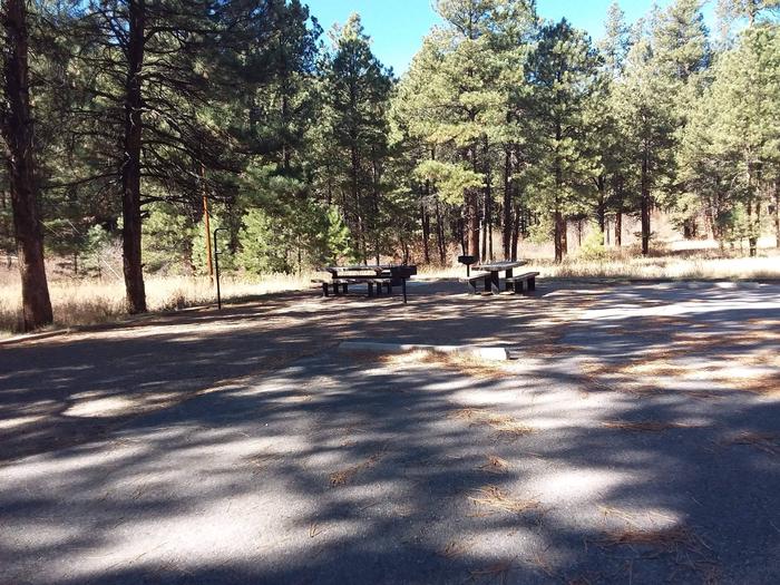 Site 3 has two picnic tables, grills and a fire pit along with two parking spots.Spacious site 3.