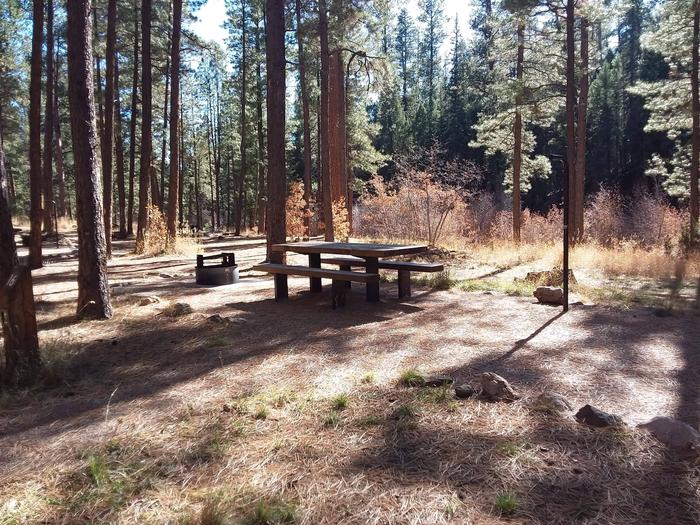 Changing falls colors standout at site 16 with its camping amenities such as a picnic table and fire pit.Site 16