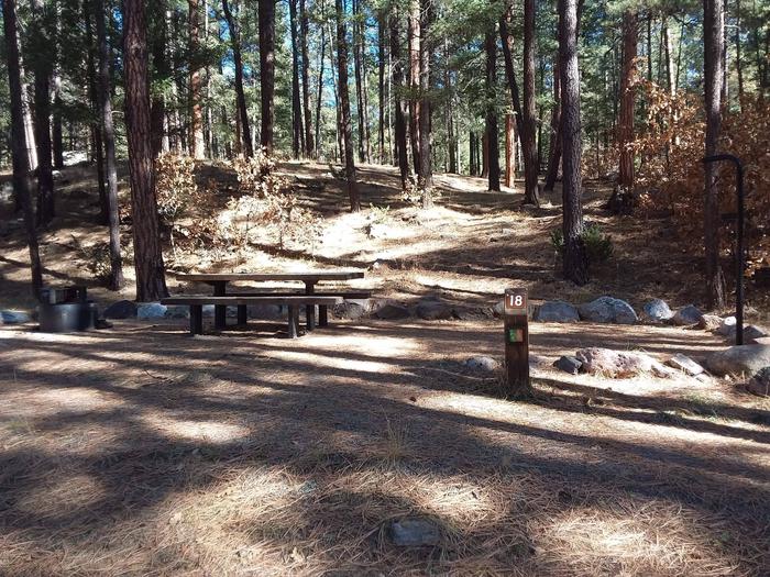 Site 18 with picnic table, grill and lantern post near pine forest.Site 18