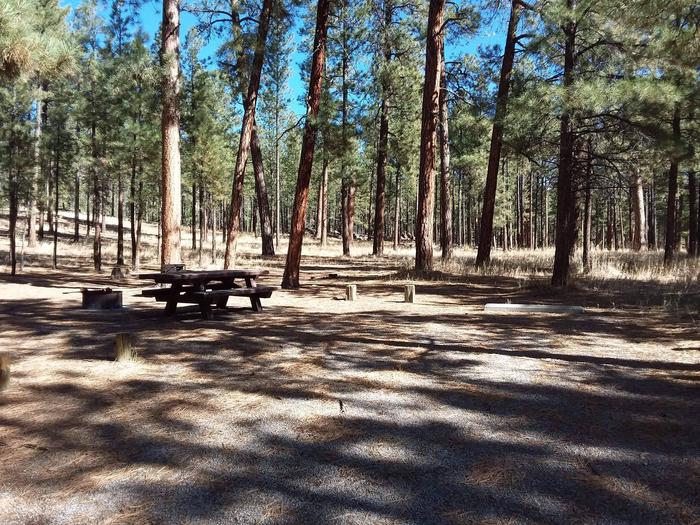Site 9, shaded by pines, provides a grill, picnic table, and fire pit to enjoy the forested scenery.Site 9