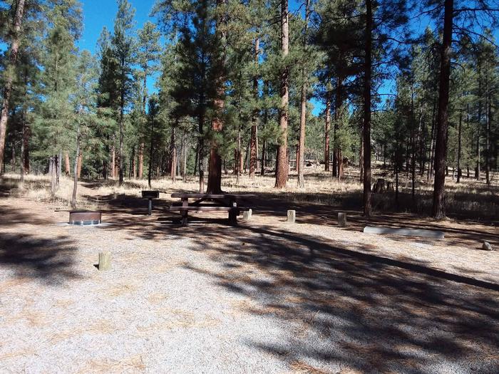 Large pines and clear blue skies accompany site 10 and its fire pit, grill, and picnic table.Site 10
