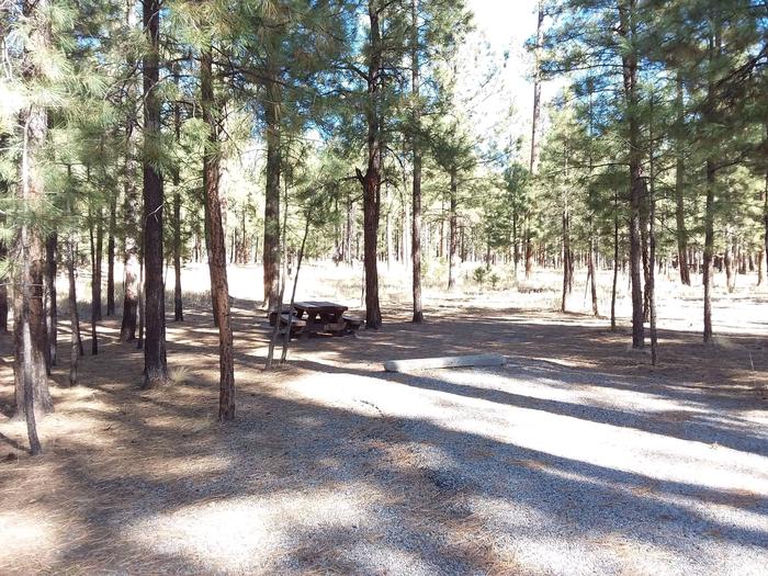 Young pine trees shade site 18 and provides a picnic table with a fire pit.Site 18 
