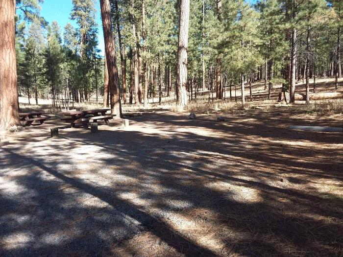 Site 23 designed with a double driveway and provides two picnic tables and a firepit for larger groups.Site 23
