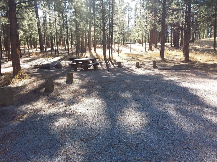 The afternoon shadows from surrounding pines shade site 30 and its picnic table.Site 30