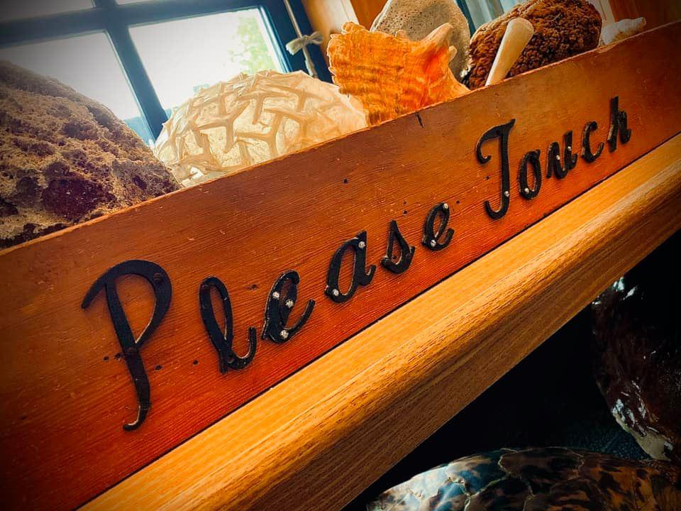 Please Touch Table