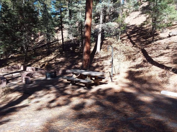 Site 10 with a picnic table, campfire ring, lantern pole, and parking.
