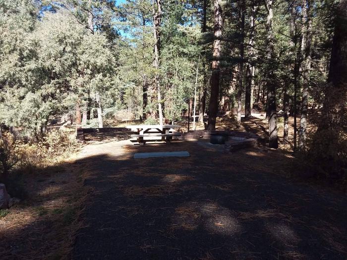 Site 15 with a picnic table, fire ring, lantern pole, and parking.