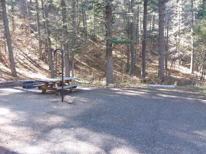 Site 16 with a picnic table, fire ring, lantern pole, and parking.