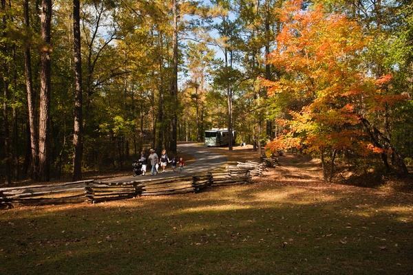 Jeff Busby Campground, Milepost 193.1