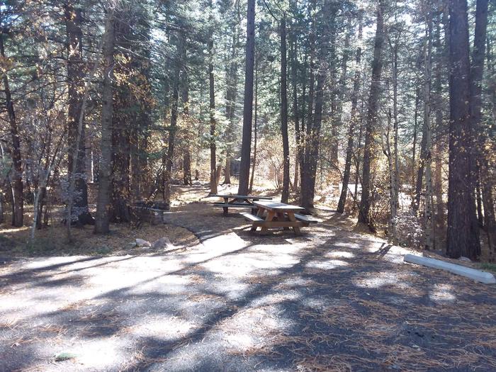Site 27 with picnic tables, fire rings, lantern poles, and parking.