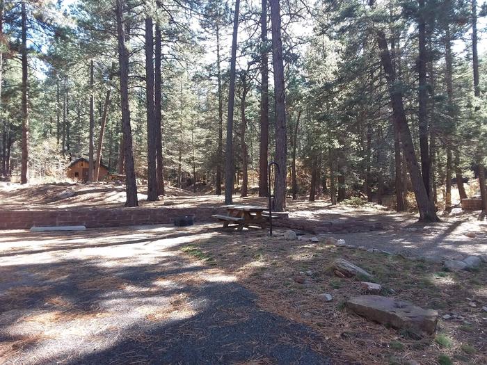 Site 36 with a picnic table, fire ring, lantern pole, and parking.