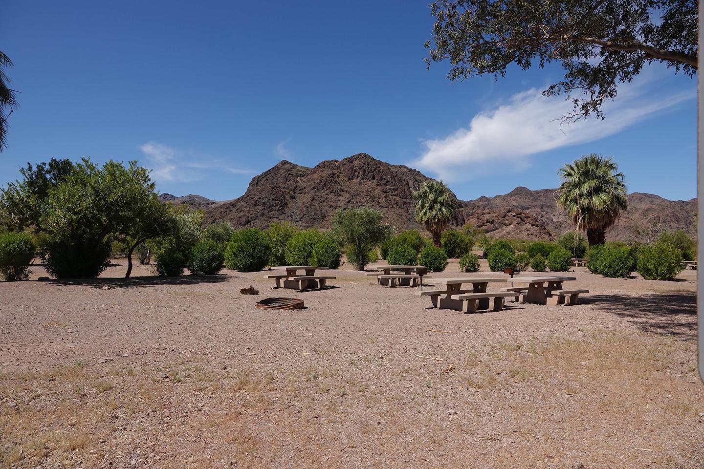 Open Campsitewith tables located in a desert settingBoulder Beach Group Site 2