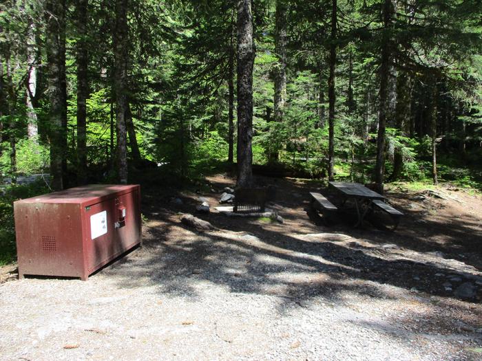 Picnic table, fire ring, and bear box