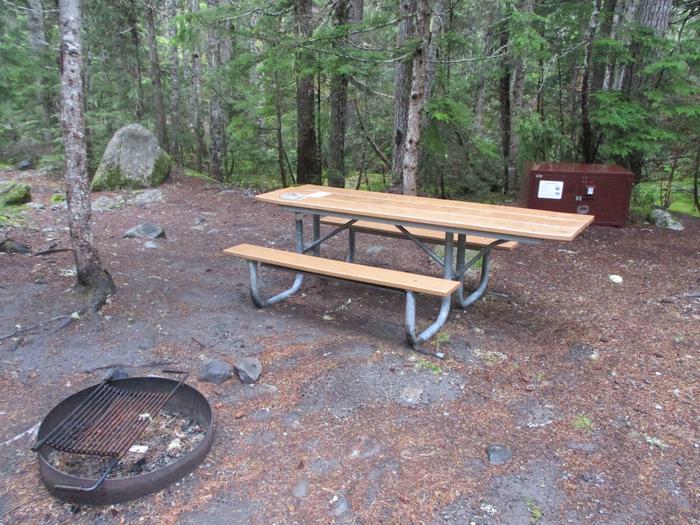 Picnic Table, Fire ring, and Bear box