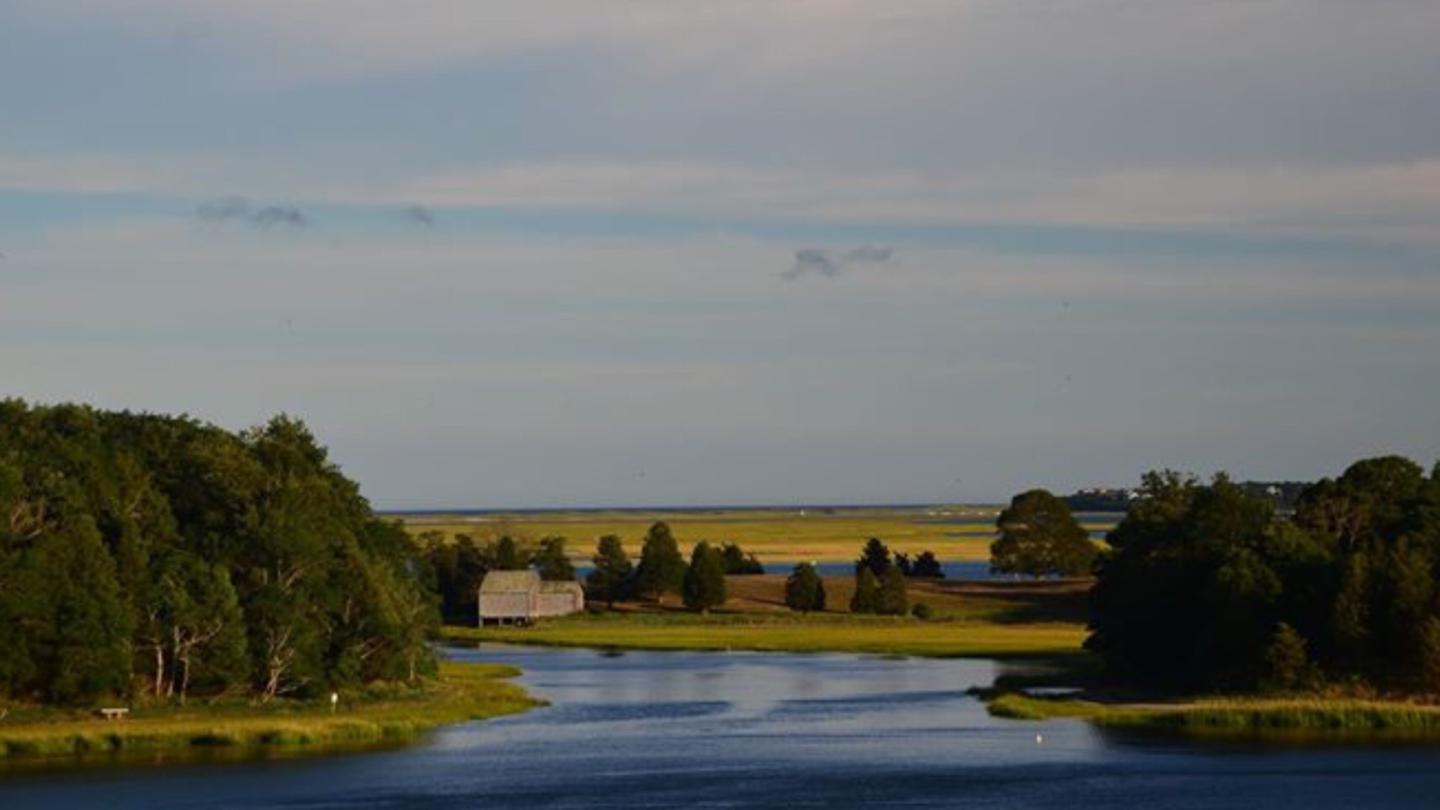 The View From Salt PondThe visitor center's outdoor terrace offers magnificent views of Salt Pond, Nauset Marsh,and the Atlantic.