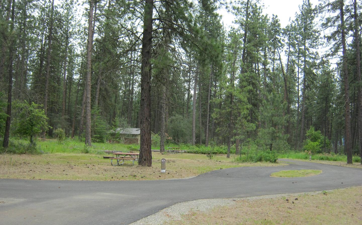 site 64Site 64, Pull Through, Trees and comfort station in background