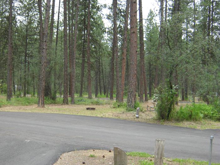 Pine trees in the back dropPull through paved parking