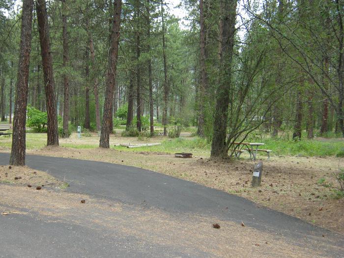 Pine forest back dropPull through paved parking