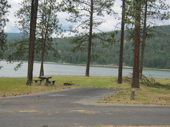 Pine trees and lake in the back dropBack in paved parking