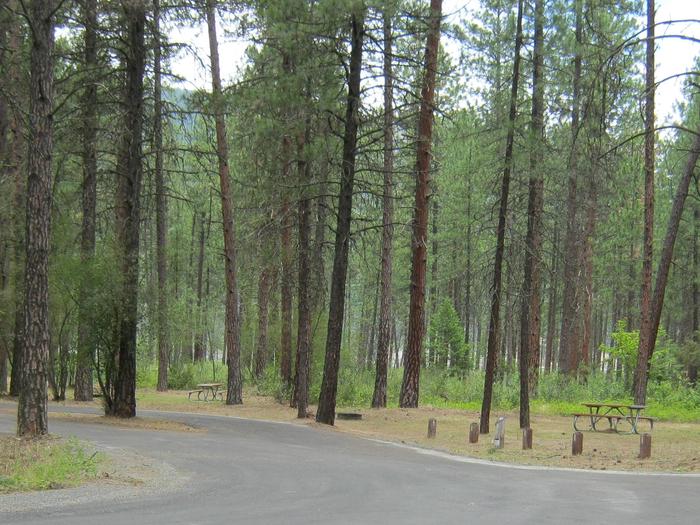 Pine trees in the back dropPull Through paved parking