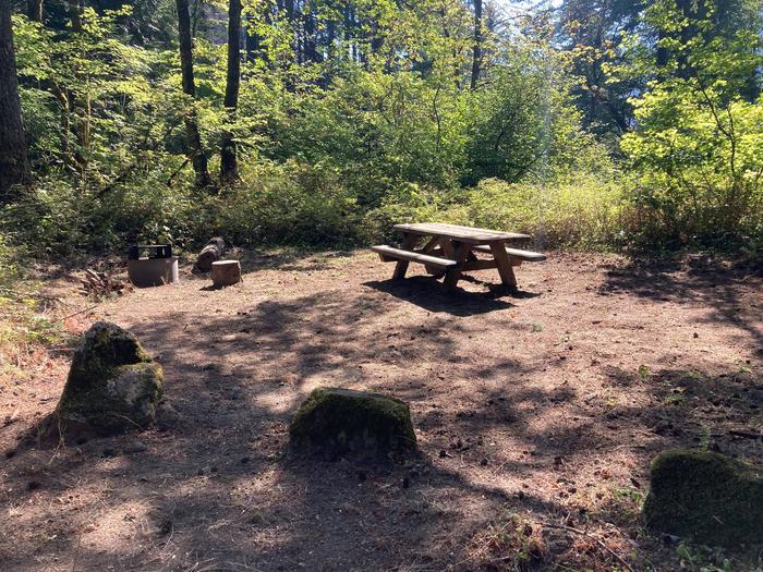 Fire ring and TableSite #1-Eagle Creek Campground