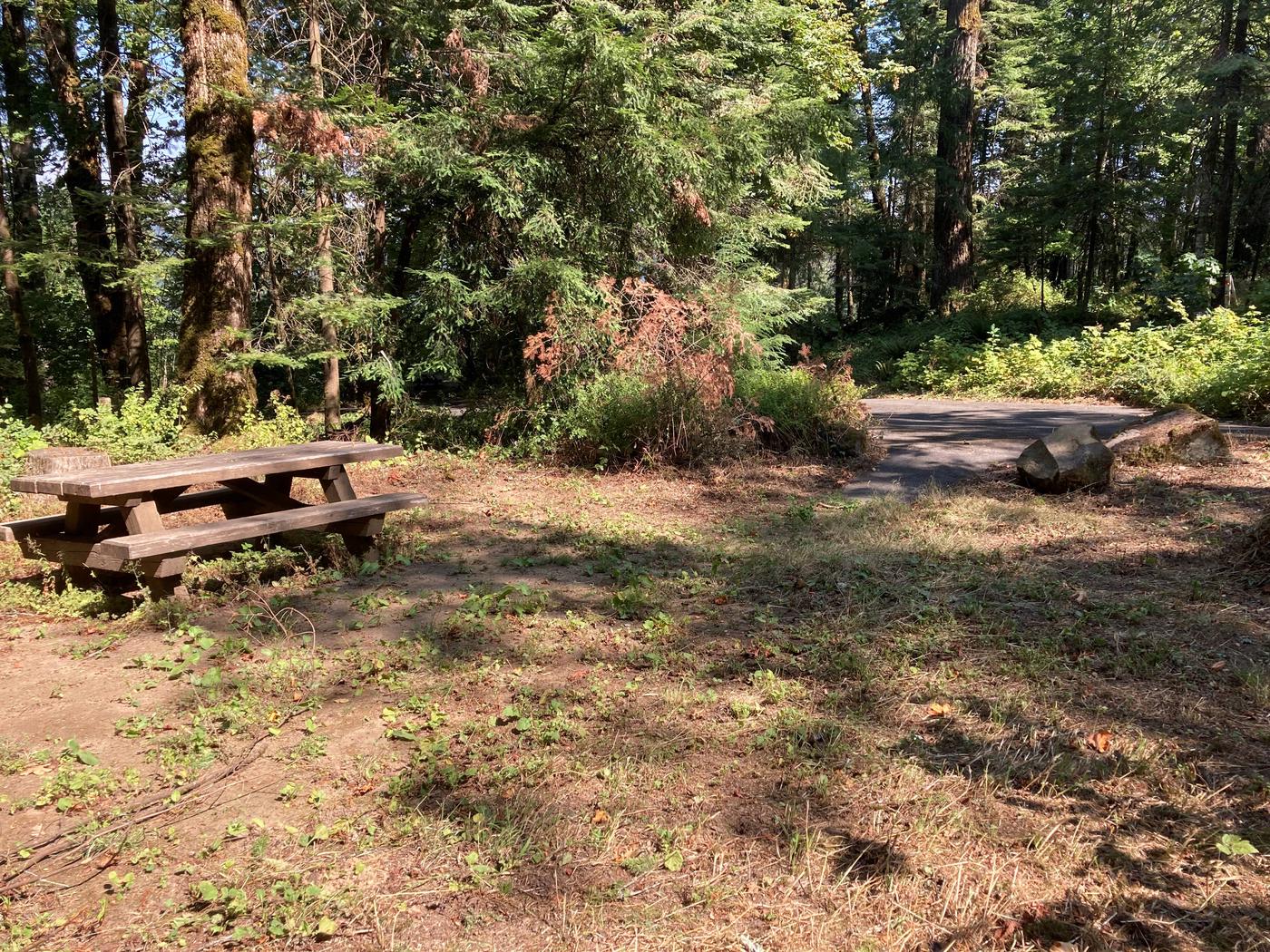 Site 05, Eagle Creek Campground Recreation.gov