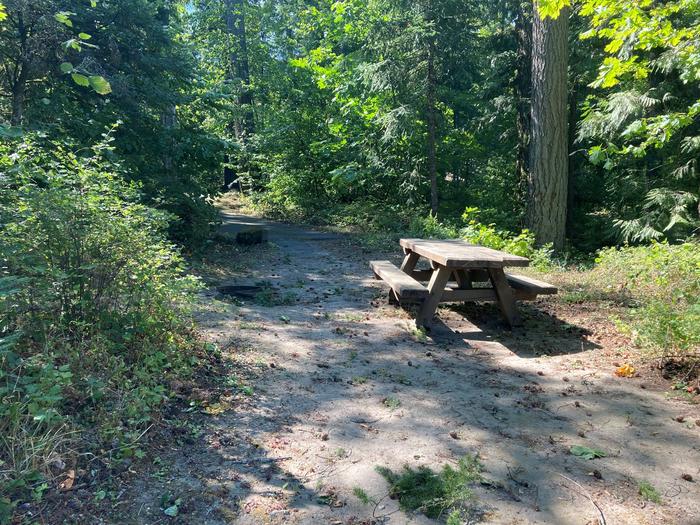 Fire Ring and TableSite #8-Eagle Creek Campground