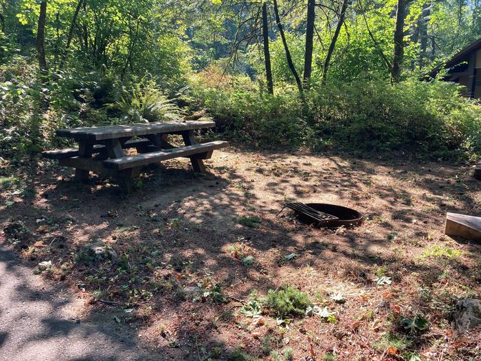 Picnic Table and Fire RingSite #9-Eagle Creek Campground