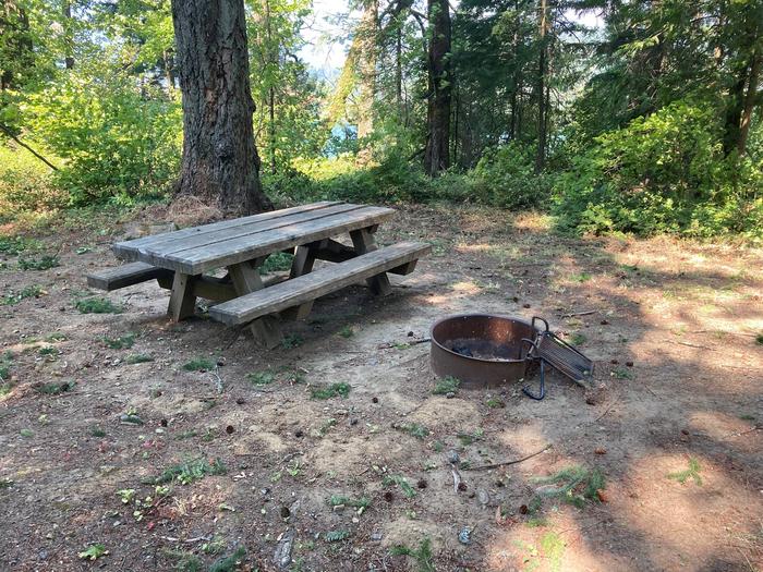 Picnic Table and Fire RingSite #11-Eagle Creek Campground