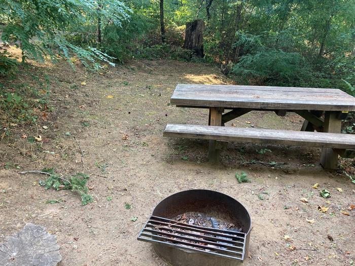 Fire Ring and TableSite #13-Eagle Creek Campground