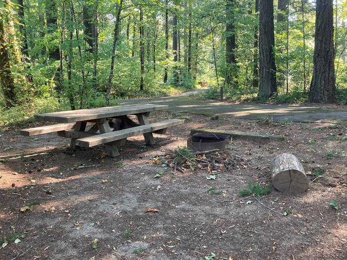 Table and Fire RingSite #14-Eagle Creek Campground