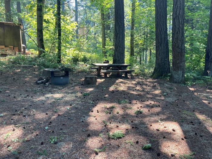 Fire Ring and TableSite #16-Eagle Creek Campground