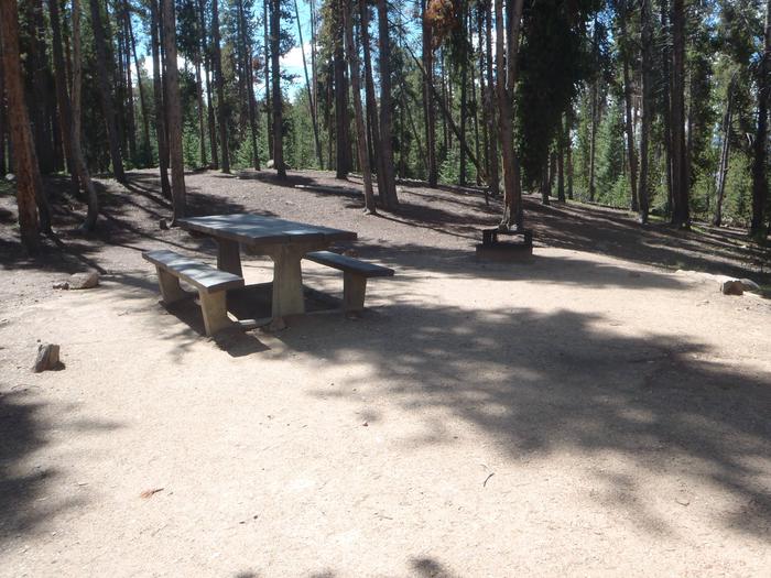 Baby Doe Campground, Site 2 picnic table and fire ring