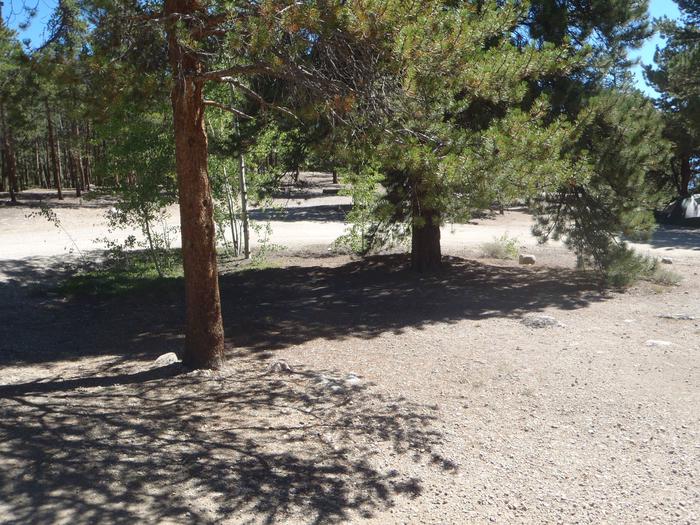 Lakeview Campground, site B4 clearing 2