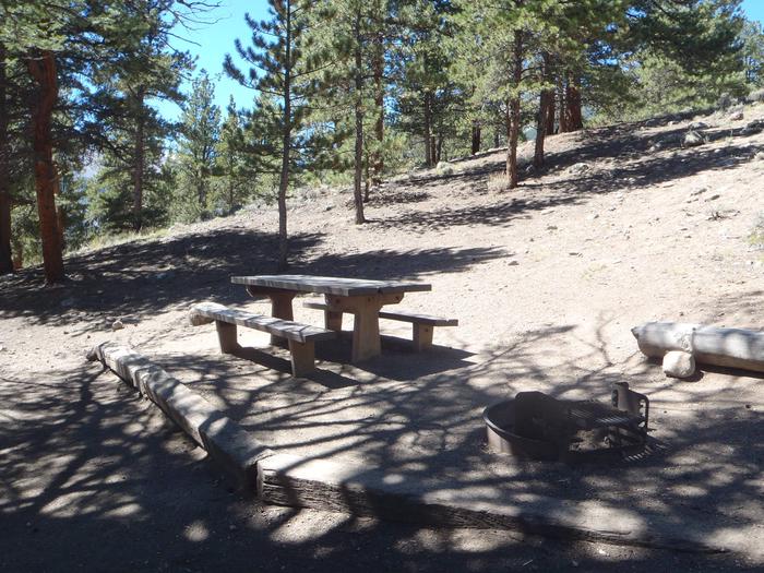 Lakeview Campground, site F5 picnic table and fire ring