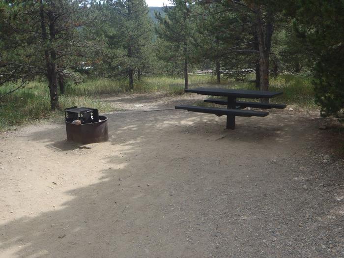 May Queen Campground, site 20 picnic table and fire ring