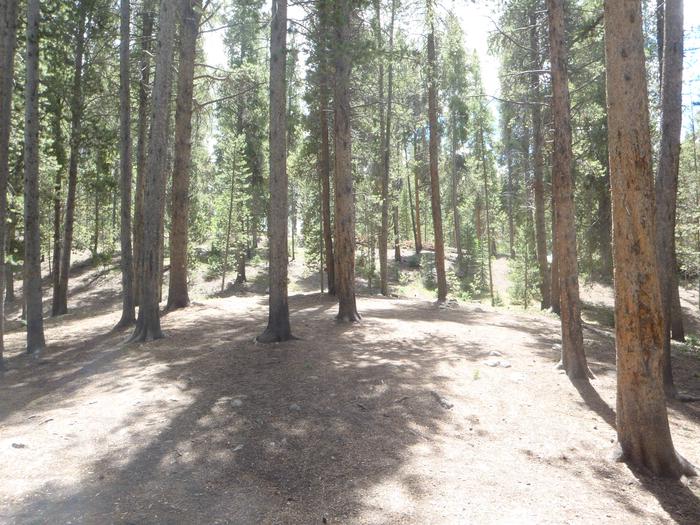 Molly Brown Campground, site 20 clearing