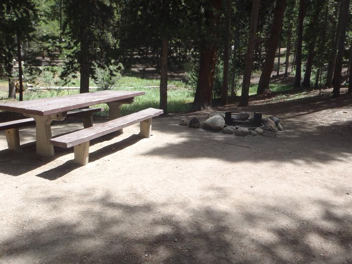 Molly Brown Campground, site 20 picnic table and fire ring 2