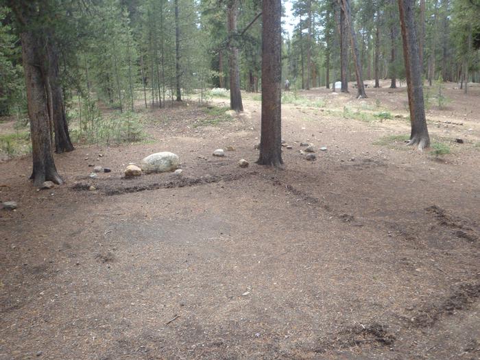 Molly Brown Campground, site 24 clearing
